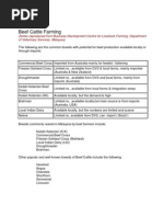 Guide to Beef Cattle Farming 2