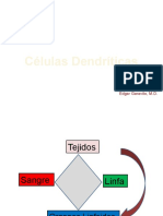 Células Dendríticas: Edgar Garavito, M.D
