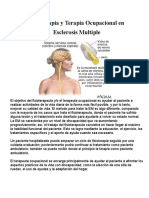 Fisioterapia y Terapia Ocupacional para Esclerosis Múltiple