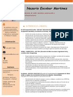 CV Nazario E Martinez Espanol Febrero 2021 PDF