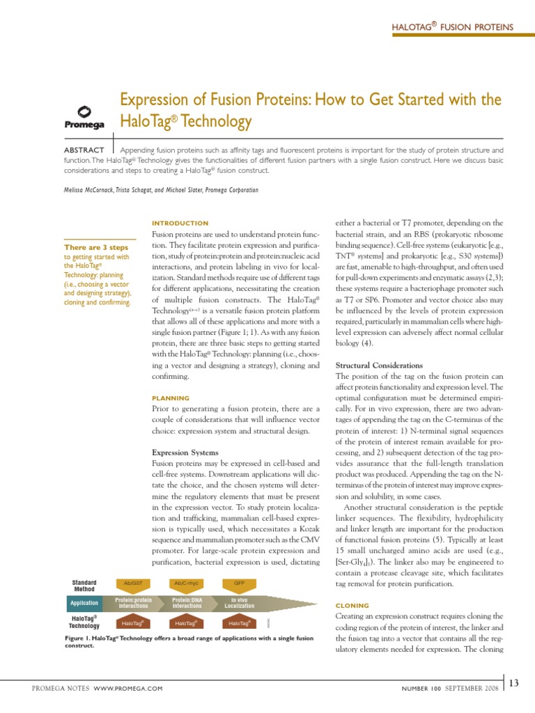 Promega HaloTag Fusion Protein Guide PDF Molecular Cloning Gene