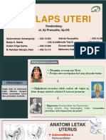 Prolaps Uteri 2