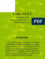 Lari Pecut