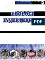 Zoologi Invertebrata Ce01569d Dikonversi
