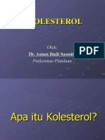 Kolesterol 1