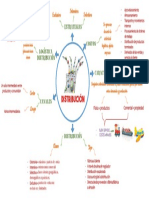 Mapa Mental Distribucion