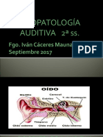 Fisiopatologia Auditiva13 - 2