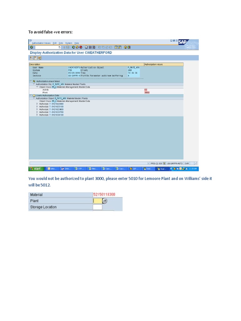 Guidelines for Plant Authorization Errors | PDF