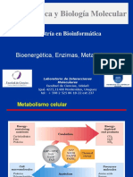 Clase 4 Bioenergetica Enzimas Metabolismo