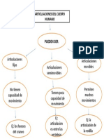 Articulaciones del cuerpo: tipos y ejemplos