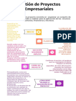 Infografía sobre gestión de proyectos empresariales.