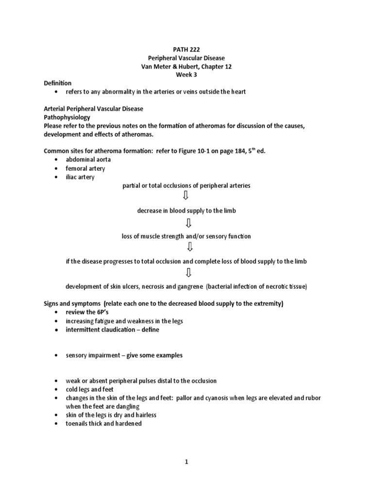 Peripheral Vascular Disease Overview | PDF | Artery | Vein