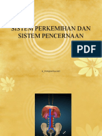 Anatomi Sistem Pencernaan Dan Perkemihan