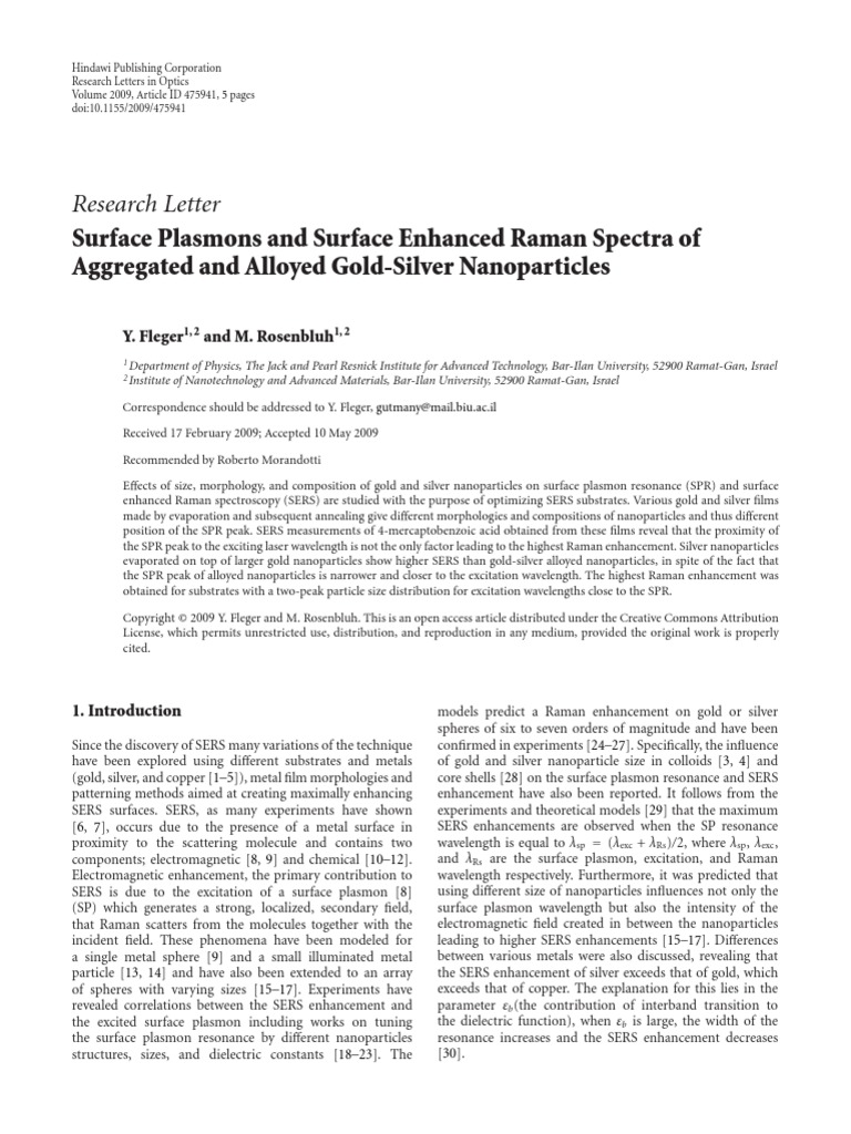 Surface Plasmons and Surface Enhanced Raman | PDF | Nanoparticle ...