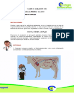 Ciencias Naturales Séptimo Día 3