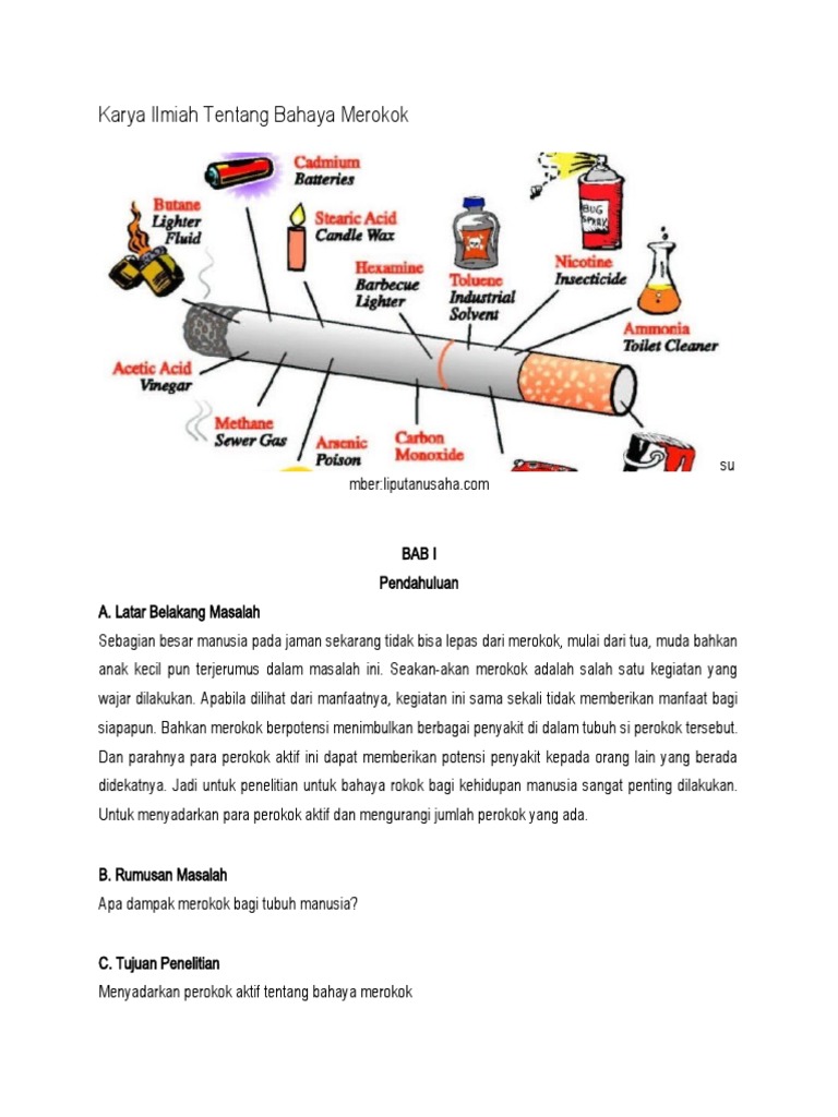 Karya Ilmiah Tentang Bahaya Merokok | PDF
