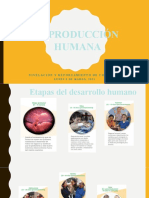 Reproducción Humana