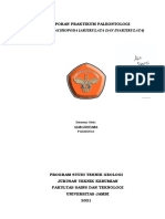 Laporan Paleontologi (Filum Brachiopoda) - Gian Gustiana - F1D22013