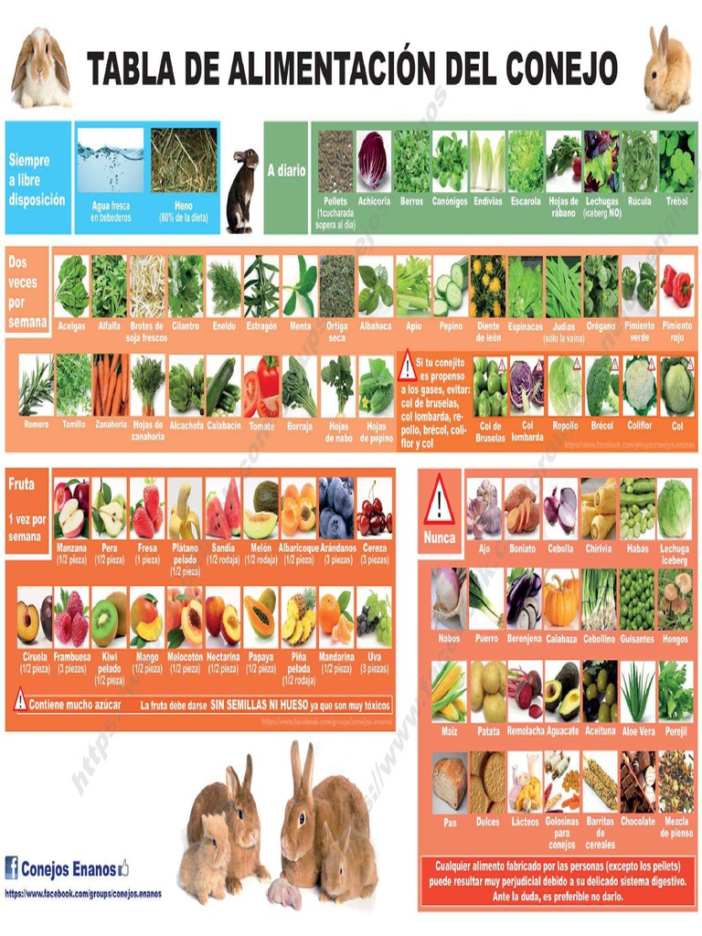 Tabla Alimentacion Conejos Enanos Final PDF