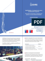 Diptico General Del Proyecto FONDEF