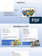 CUADRO SINOPTICO DISCIPLINAS EN SST