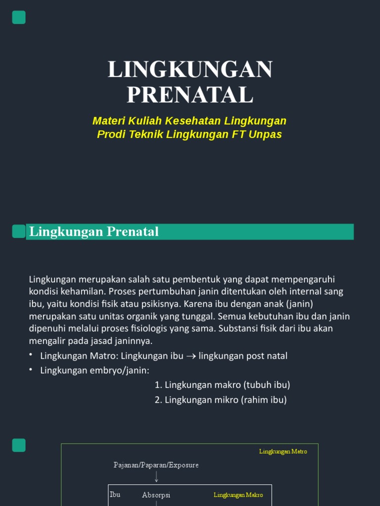 Materi 4 Lingkungan Prenatal Pdf