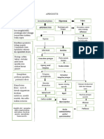 Lp Apendisitis