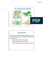 Lecture Notes - Plant Water Relations 2