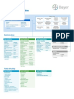 Bayer Organizational Structure 2011 02 01