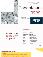 Toxoplasma Gondii