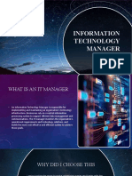 Information Technology Manager: by Wan Daniel 2K4