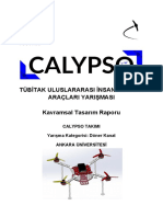 Calypso Takımı Kavramsal Tasarım Raporu