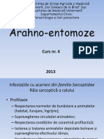Arahno-Entomoze Curs 4
