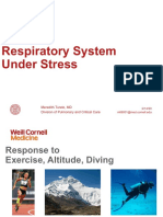 10 - Respiratory System Under Stress