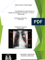 Exposicion Densidades Semiologia