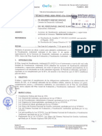 Informe Técnico #002 - 2020 (PLANEFA)