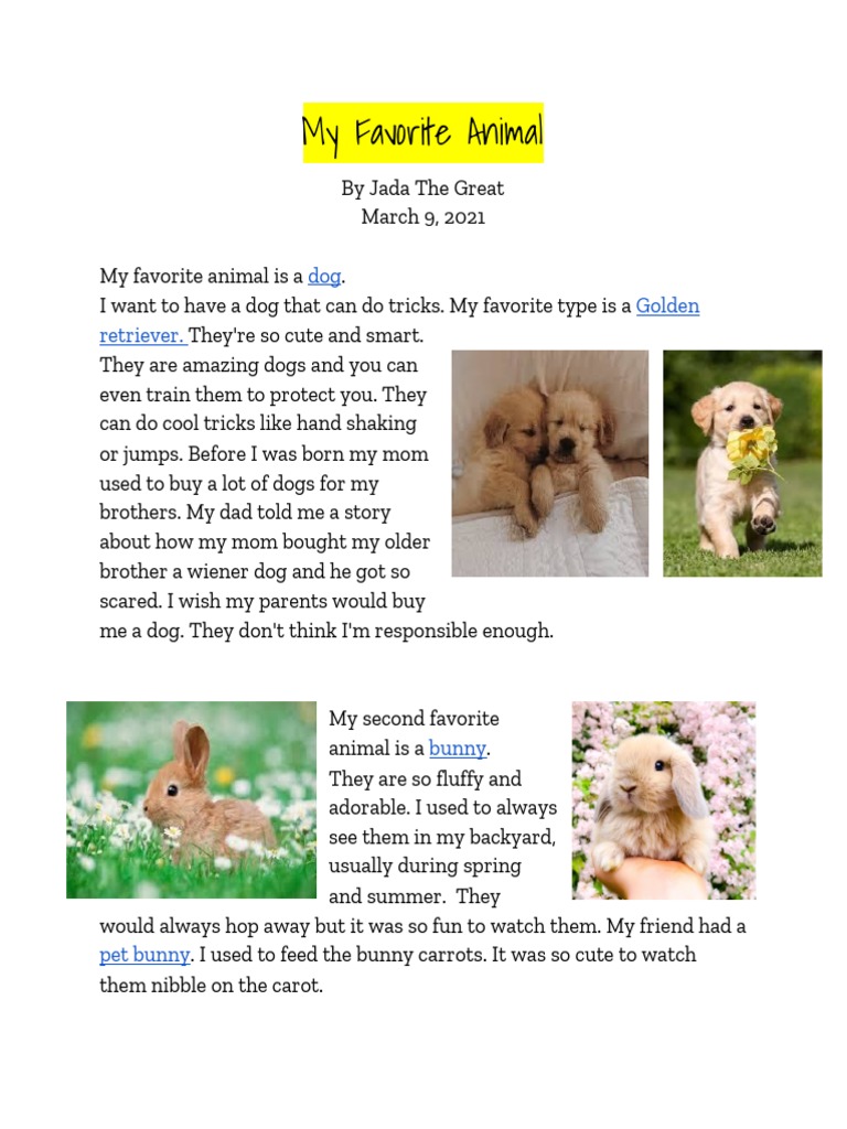 My Favorite Animal | PDF