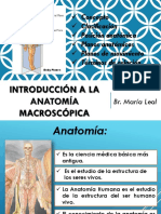 Introducción a la anatomía macroscópica: conceptos básicos