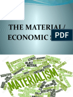 The Material/ Economic Self