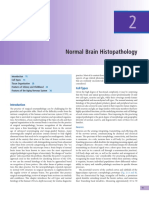 Normal Brain Histopathology: Daniel J. Brat