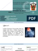 Historia Natural de la Enfermedad _ Proceso Salud-Enfermedad Traumatismo Craneoencefálico-2