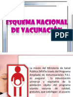 esquemadevacunacin-131113104411-phpapp02