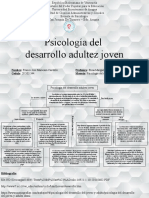 Psicología Del Desarrollo Adultez Joven