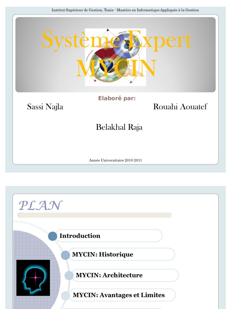 Systeme Expert - MYCIN | PDF | Médecine | Spécialités médicales
