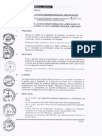 Directiva GOBIERNO Regional 019-2019