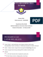 Testicular Germ Cell Tumor