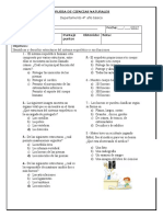 Prueba Sistema Esqueletico