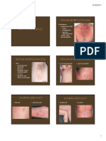 7-morfologi-lesi-2