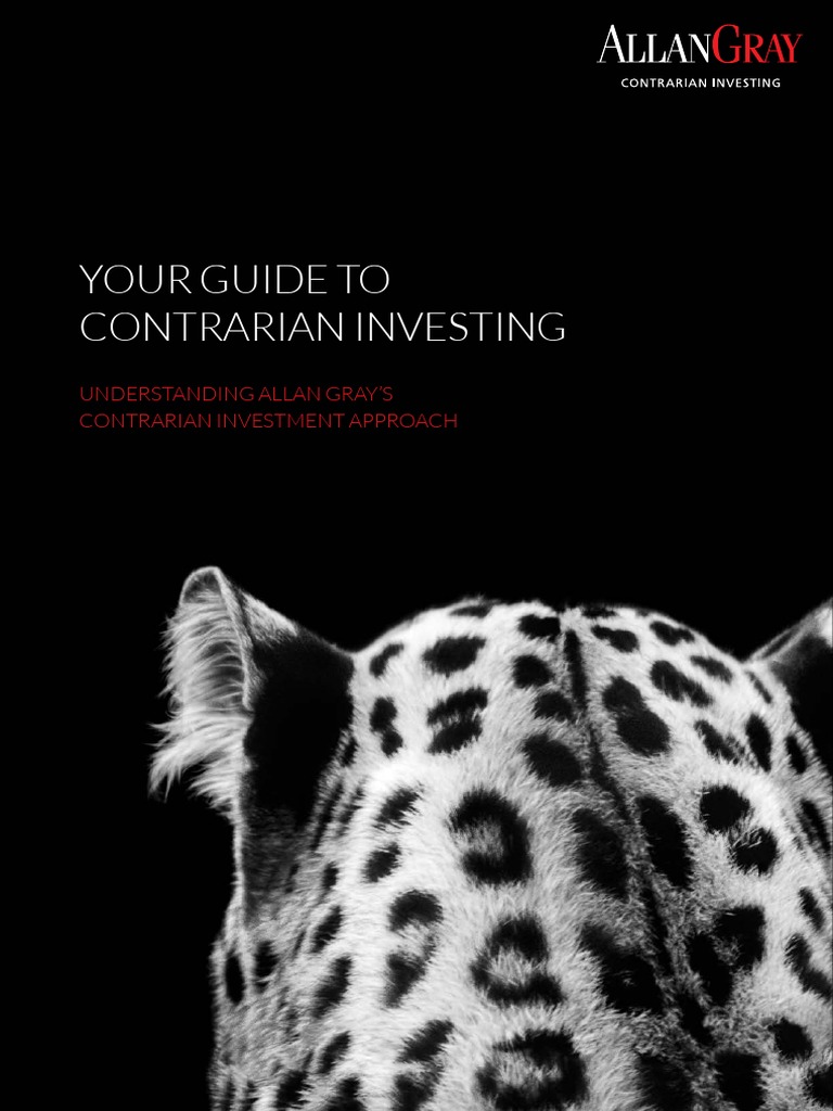 Your Guide To Contrarian Investing Understanding Allan Gray'S