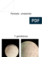 Parazyty - preparaty